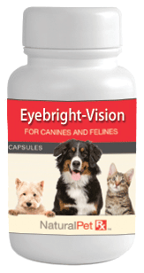 Eyebright-Vision - 100 Capsules